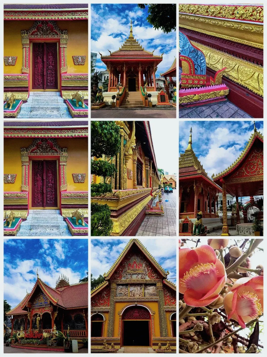 cc96859d3629a7c4d68ddaea6314e8fb-sz_733605