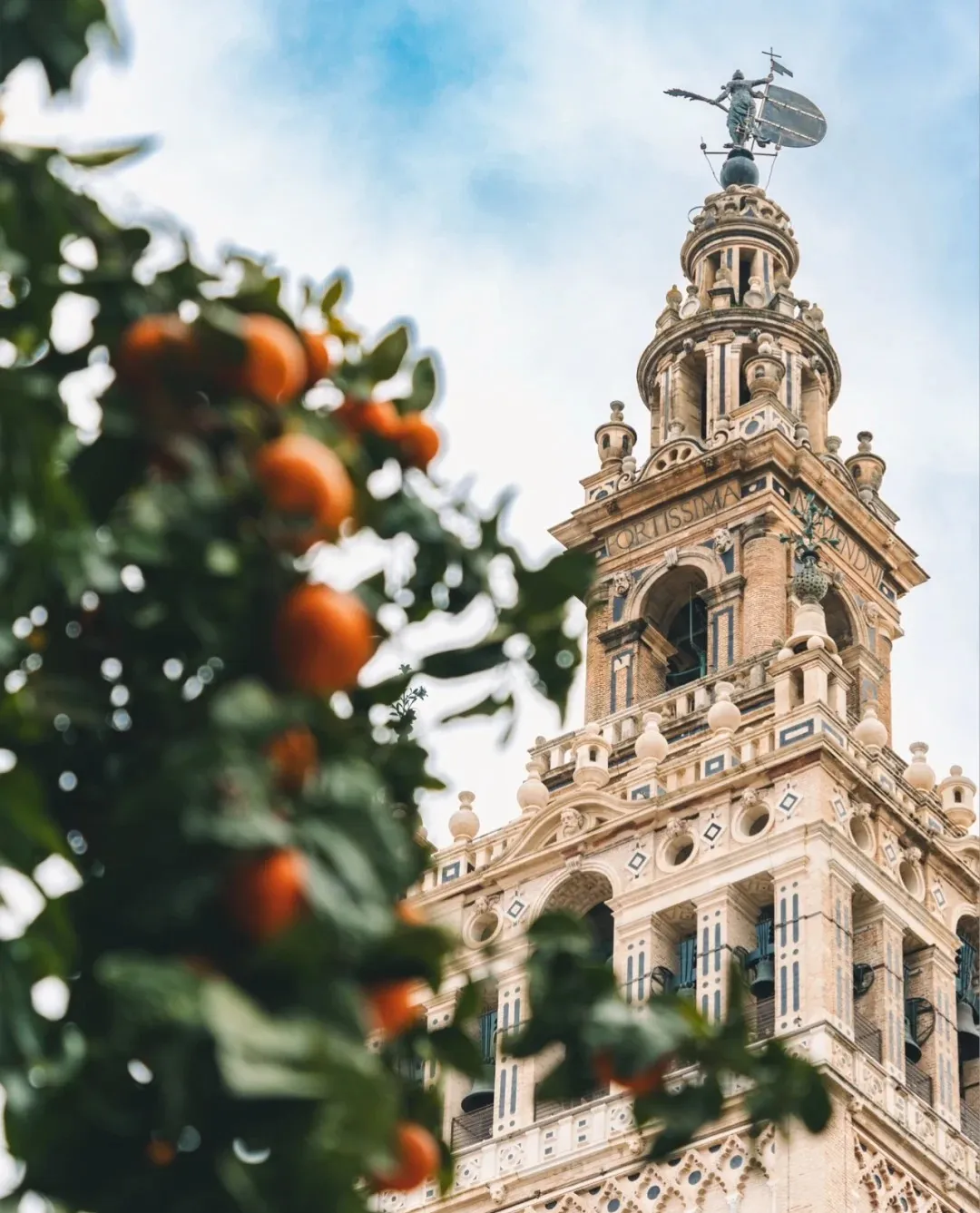 ccb4a70c2de25c4d2d32184b40c5adcb-sz_324366