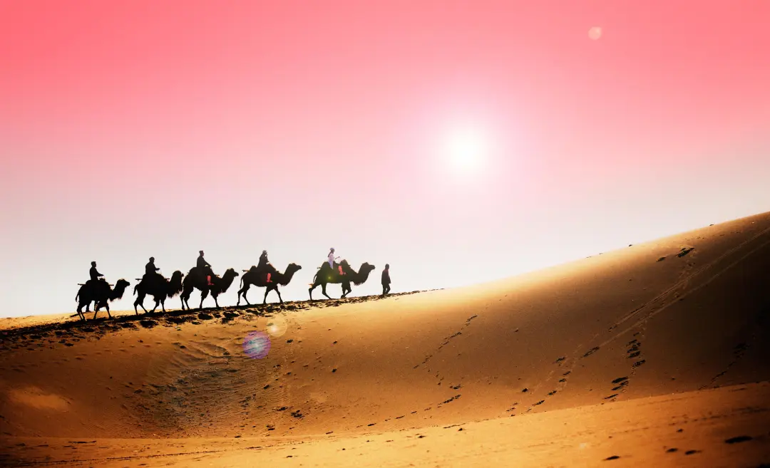 cd079c539b0d2a32a77a7705294a7a07-sz_1677039 cd079c539b0d2a32a77a7705294a7a07-sz_1677039