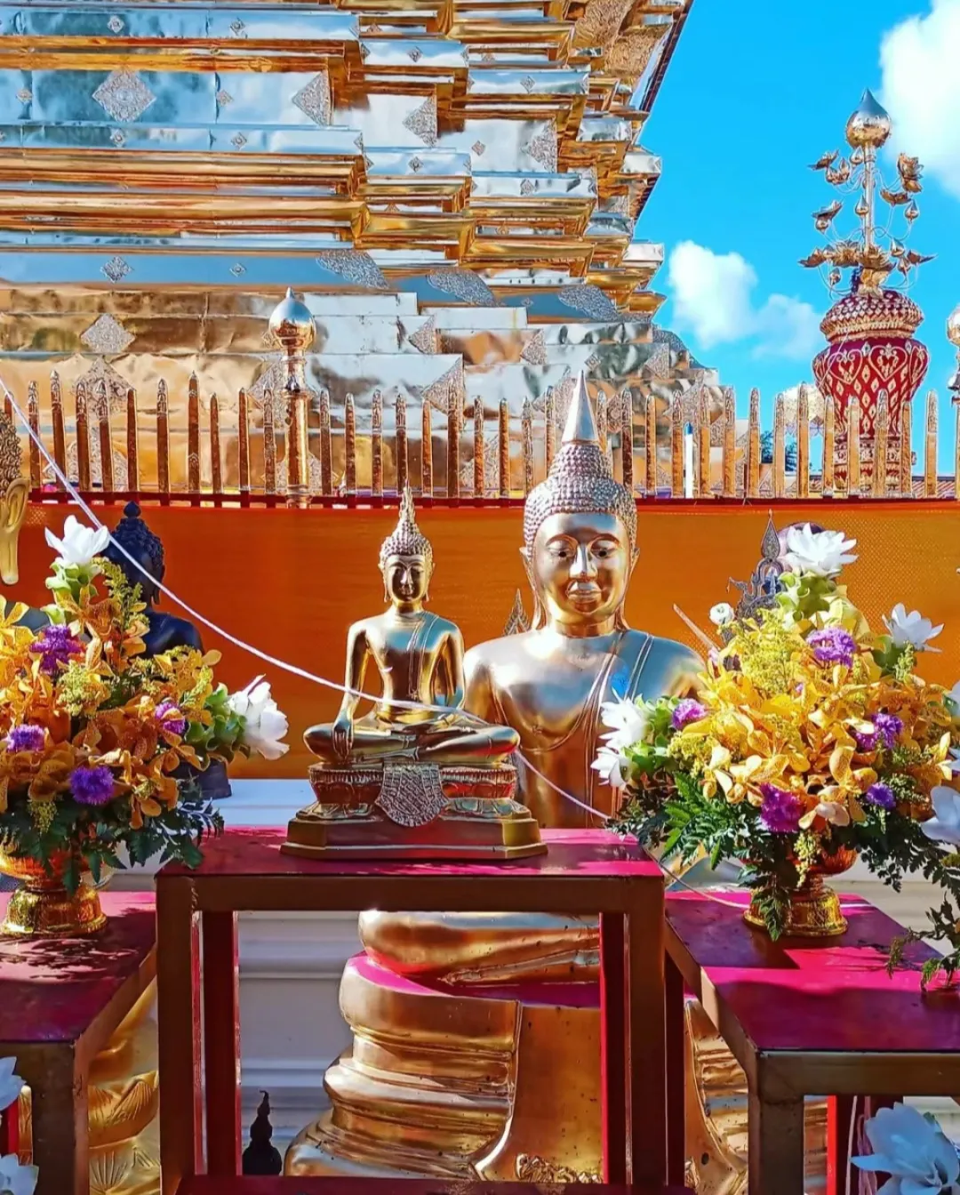 cd11e0e7ae406eb566a7d494208d61c3-sz_1300103 cd11e0e7ae406eb566a7d494208d61c3-sz_1300103