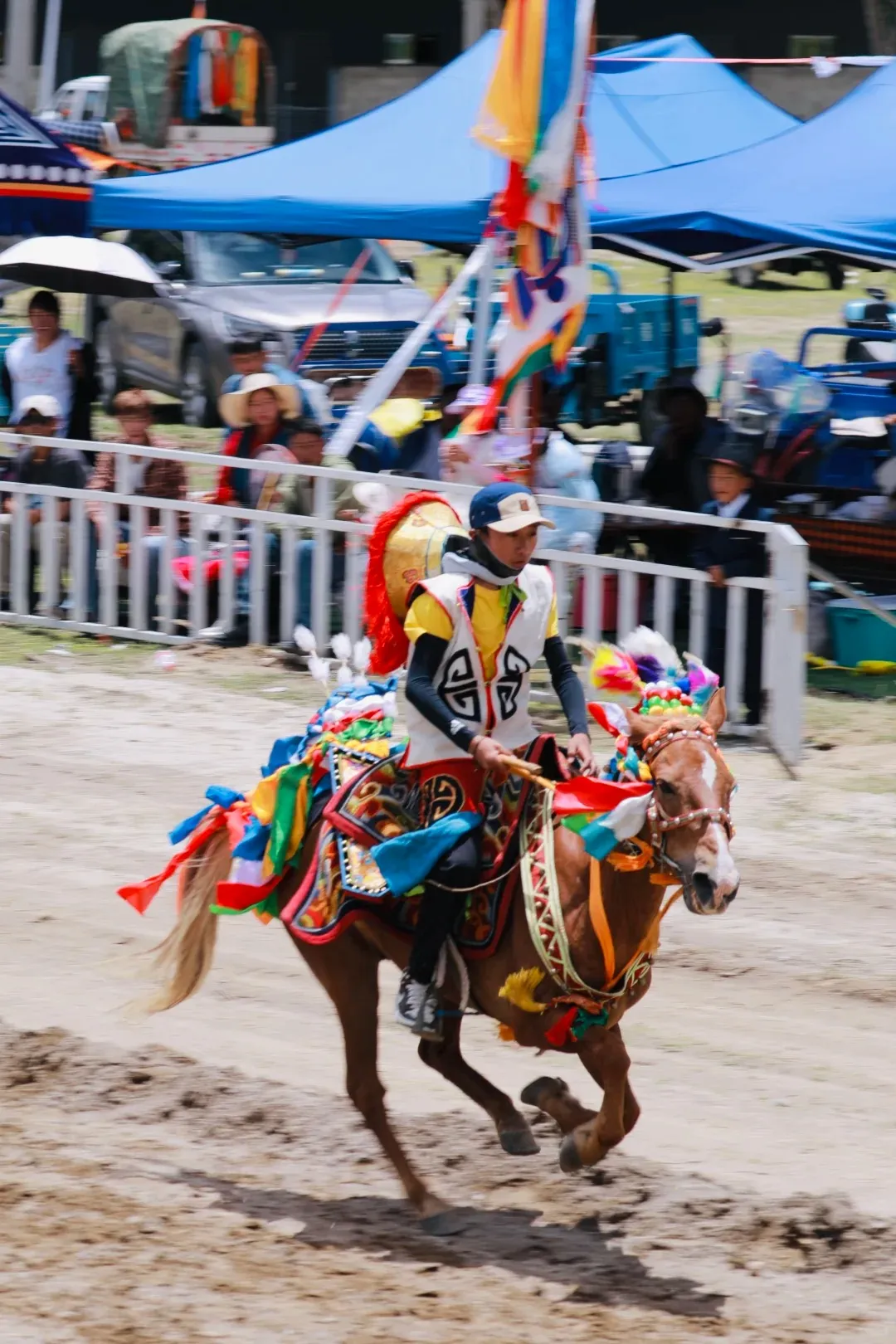 cd26e8367094f36e6fb4bbe60fcb6d62-sz_393827