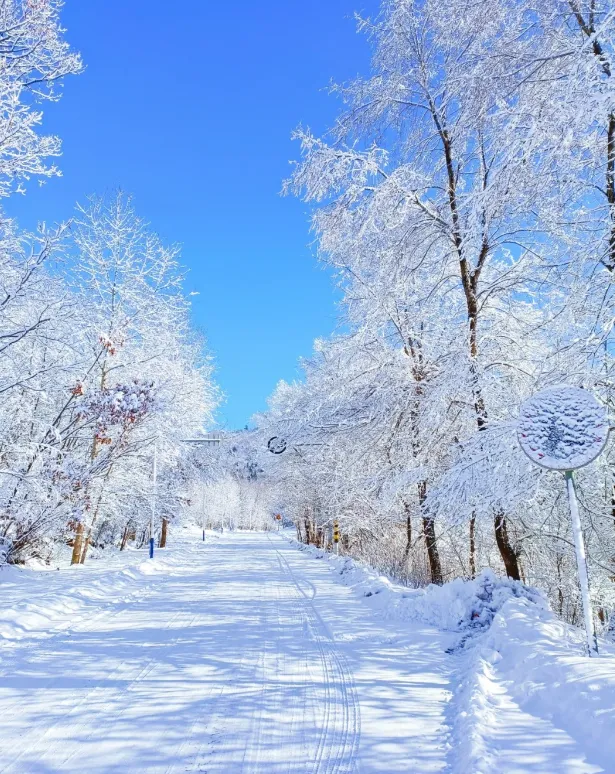 cd3c24e00a49cd8841ef62b259ef0bd4-sz_1104483