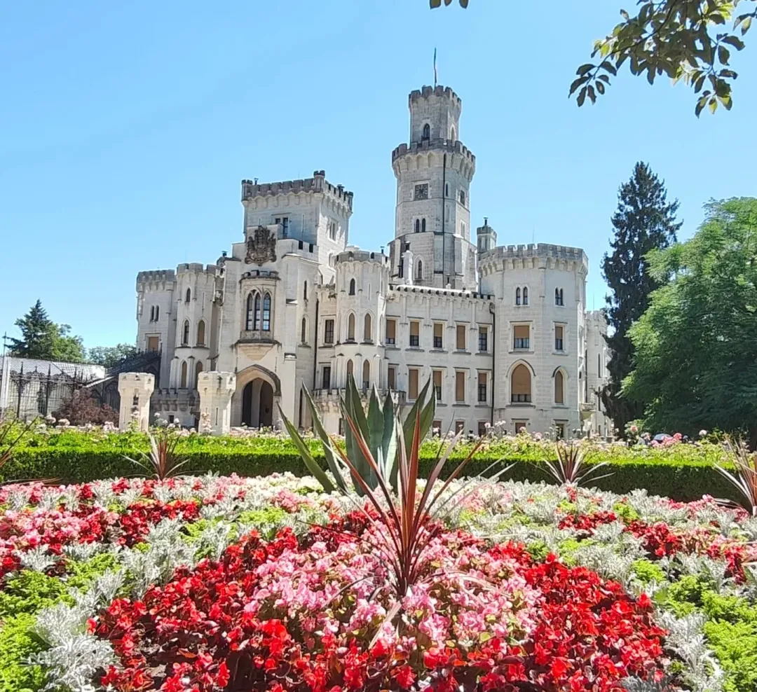 cd7b0e193118ee852681008c27af75fb-sz_522239