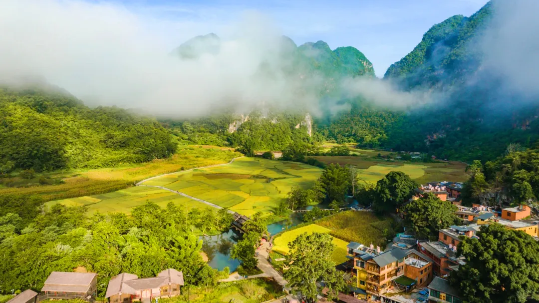 cdb497e34140c42d268a4870d20ce7ac-sz_1620181 cdb497e34140c42d268a4870d20ce7ac-sz_1620181