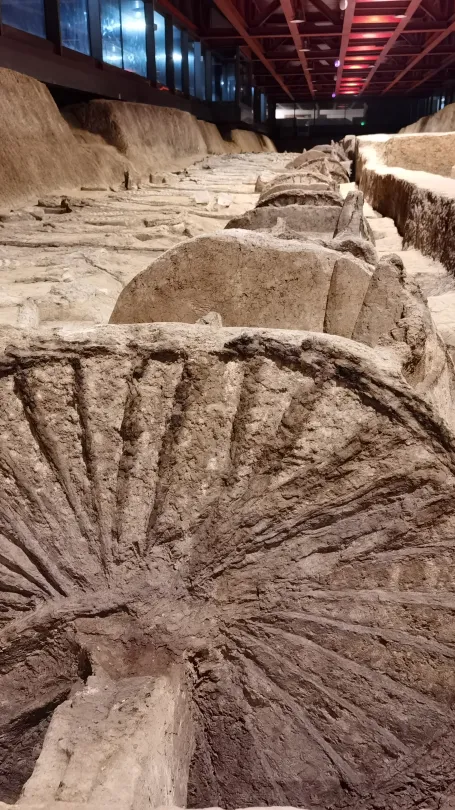 cdfac4f06fff99269152d81b76b2950d-sz_5262568 cdfac4f06fff99269152d81b76b2950d-sz_5262568