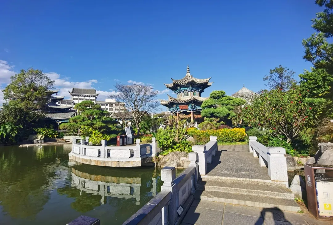 ce0569ec96fe3c0f1334ada1c68f72dc-sz_557866 ce0569ec96fe3c0f1334ada1c68f72dc-sz_557866