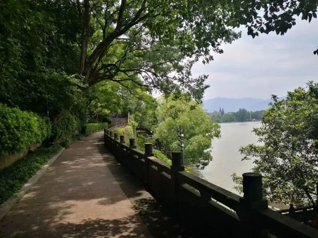 ce0c4bd2d7d4383ec36b8ee12518e064-sz_182173