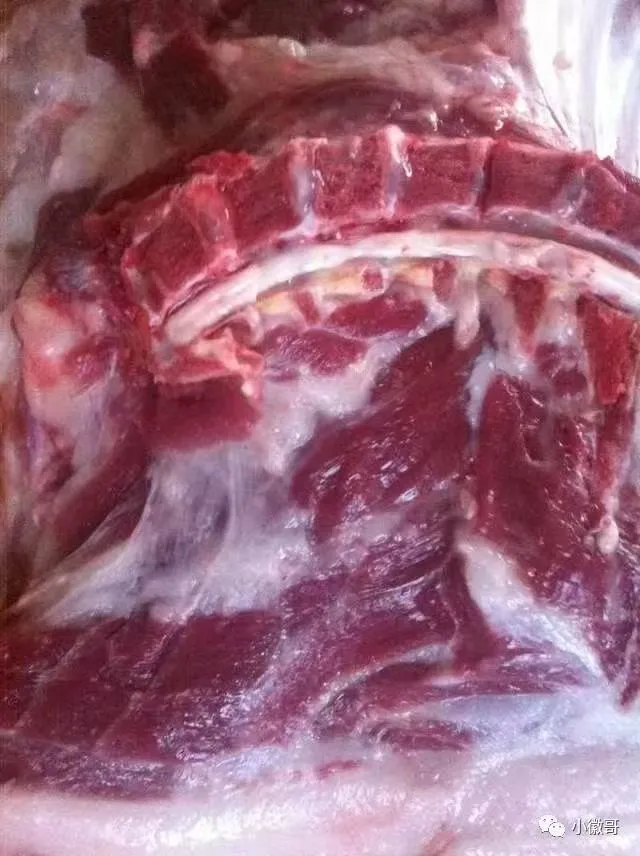 ce322116d66ff575b33bc2e2550e14a0-sz_84858-2