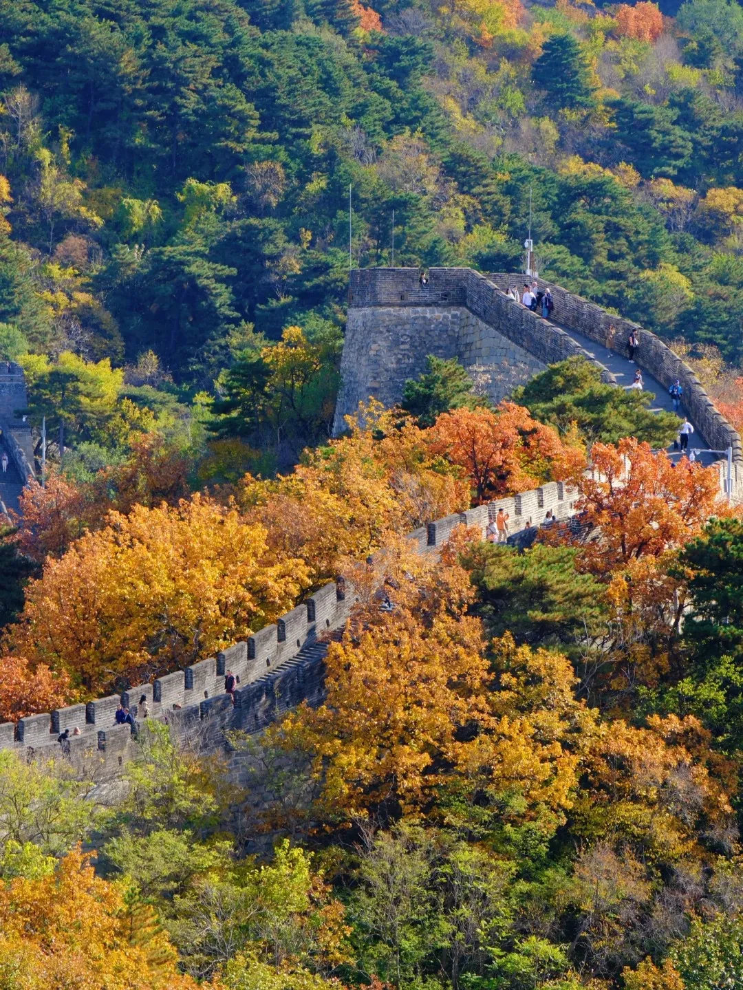 ce7c18a5e9dfb6861a9f60a125219aa1-sz_797706