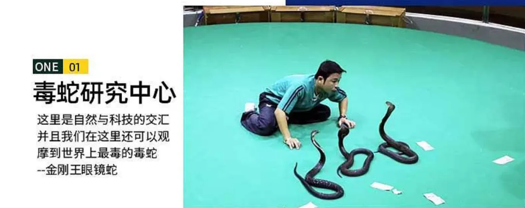 ce8a654089c6a393b499817900bfe53d-sz_699016-1