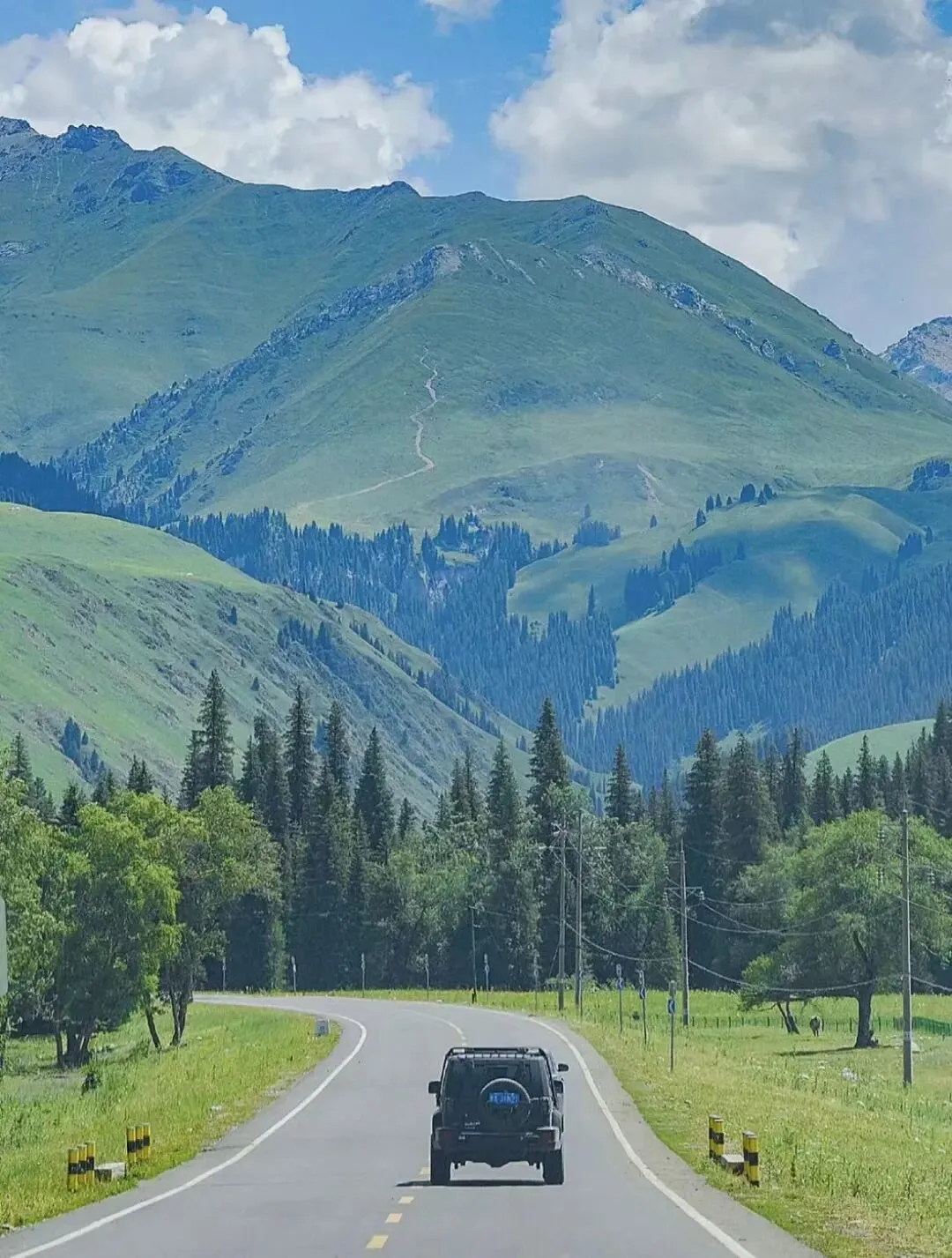 cea3561256f1d90a8d1d7bd7d4d44ccc-sz_251879