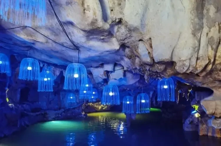 ceaa49a79b6bceba09dad26e2289afee-sz_101186