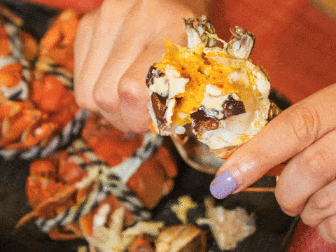 ceb5ed61e5304c40cca61f2f81999c30-sz_491075