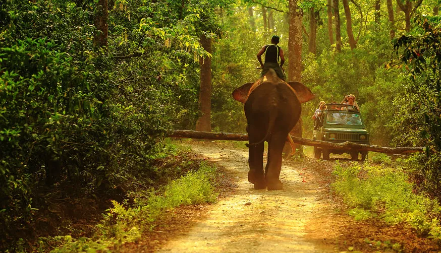 cf2984189b0600ed1e49787ee4cb79af-sz_1208969 cf2984189b0600ed1e49787ee4cb79af-sz_1208969