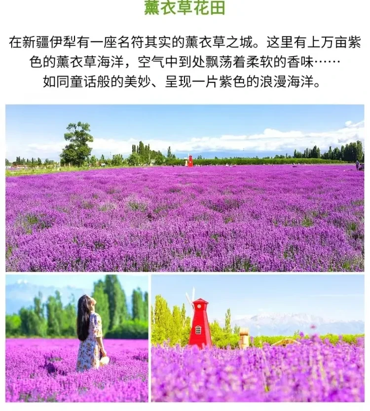 cf6af498a00428207e566e72975d4321-sz_2510044