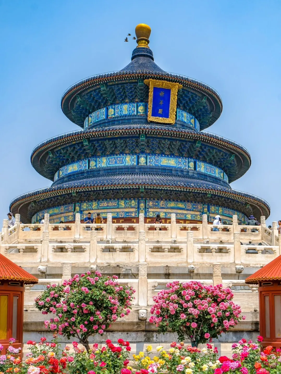 cf80e45ff6f6a47588777a83ab6b6586-sz_778787-1