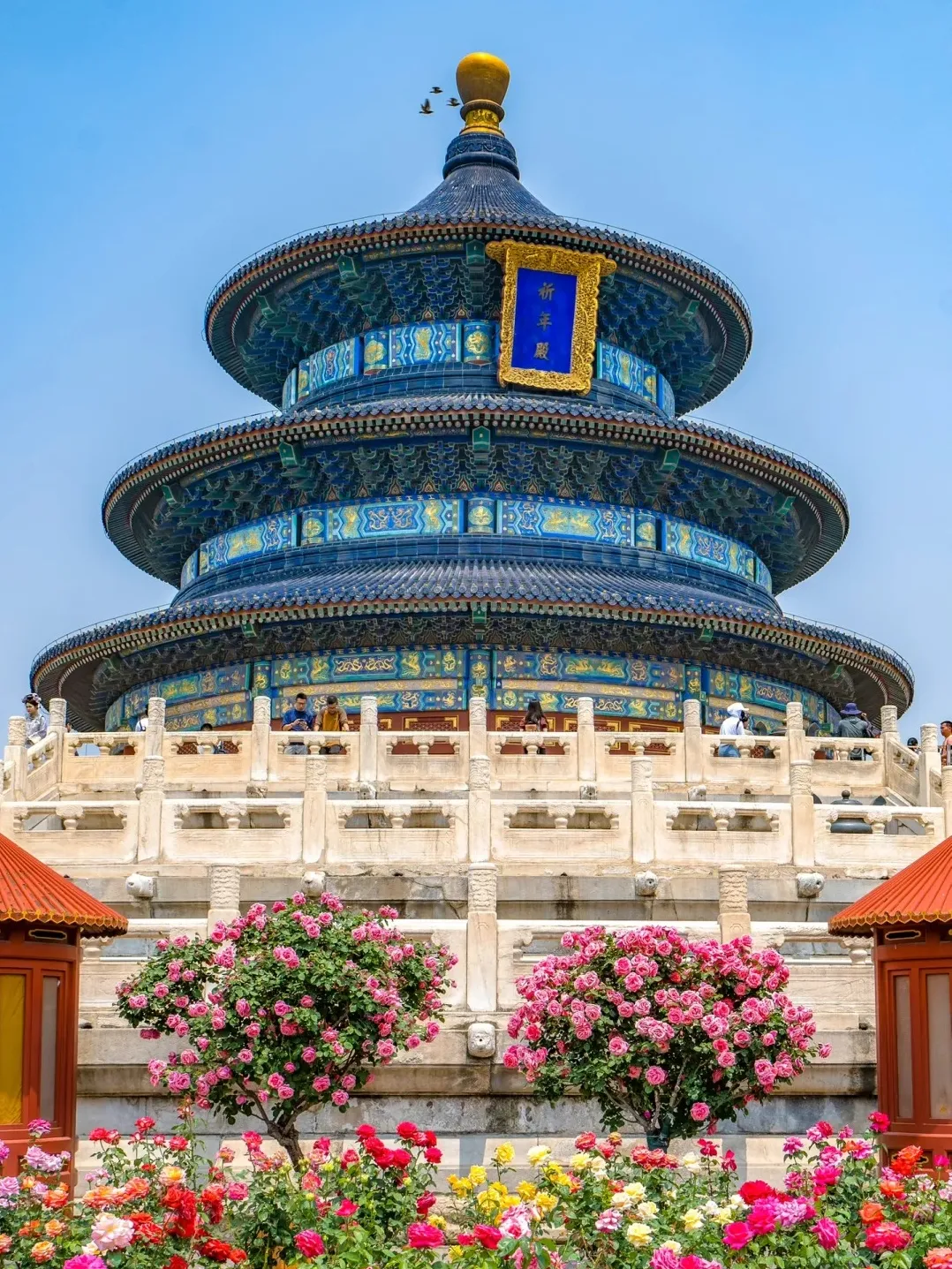 cf80e45ff6f6a47588777a83ab6b6586-sz_778787-2