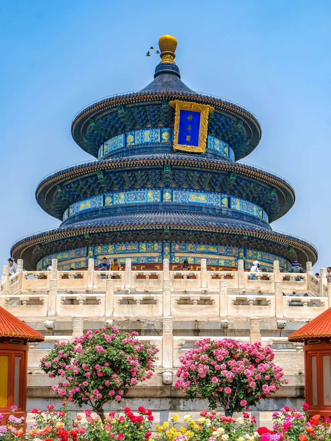 cf80e45ff6f6a47588777a83ab6b6586-sz_778787