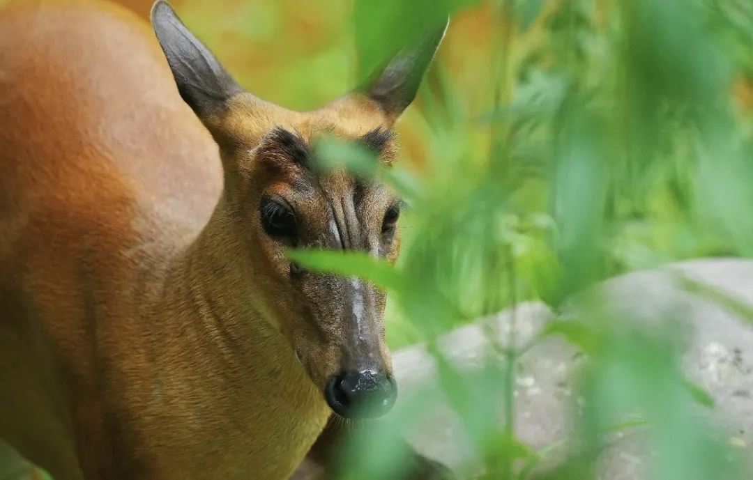 cf84028b7e6924495f78845873fd18e9-sz_328458