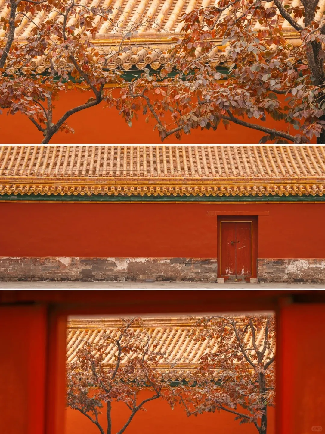 cf907b553bd2bb0937508be7fdf14eda-sz_520116 cf907b553bd2bb0937508be7fdf14eda-sz_520116