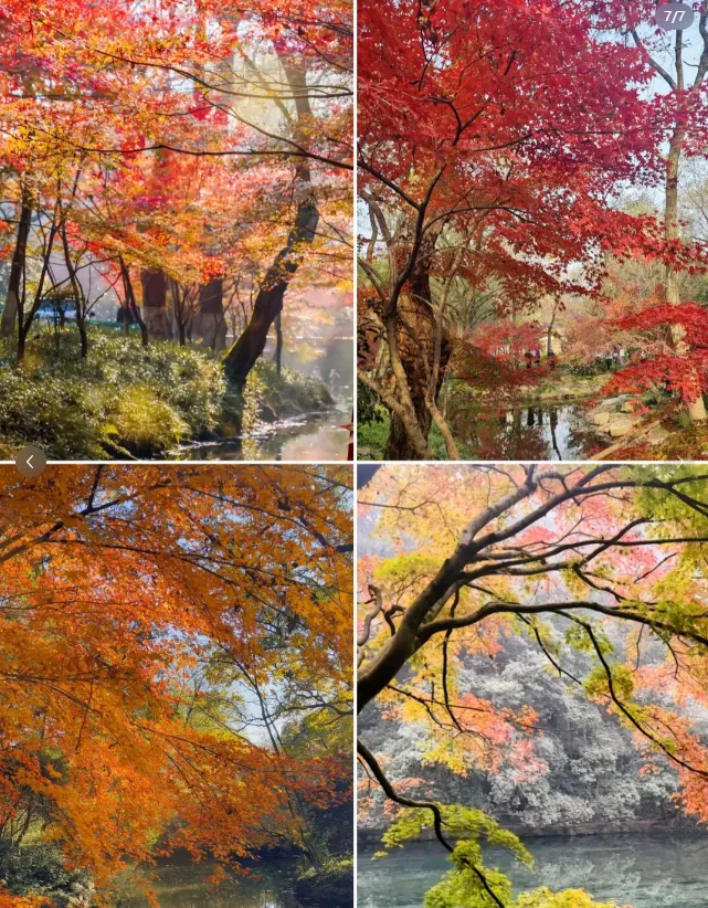 cfa984d1364d666ffeb3779cac11d7ec-sz_1350800 cfa984d1364d666ffeb3779cac11d7ec-sz_1350800