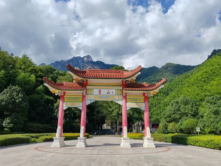 cfc0610bc4827dc004a62e6b8c7fe001-sz_2798484