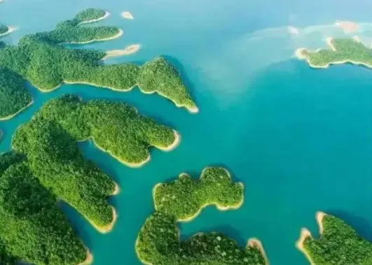 cff6b96ca0d305924a85be879cfdea2d-sz_373383