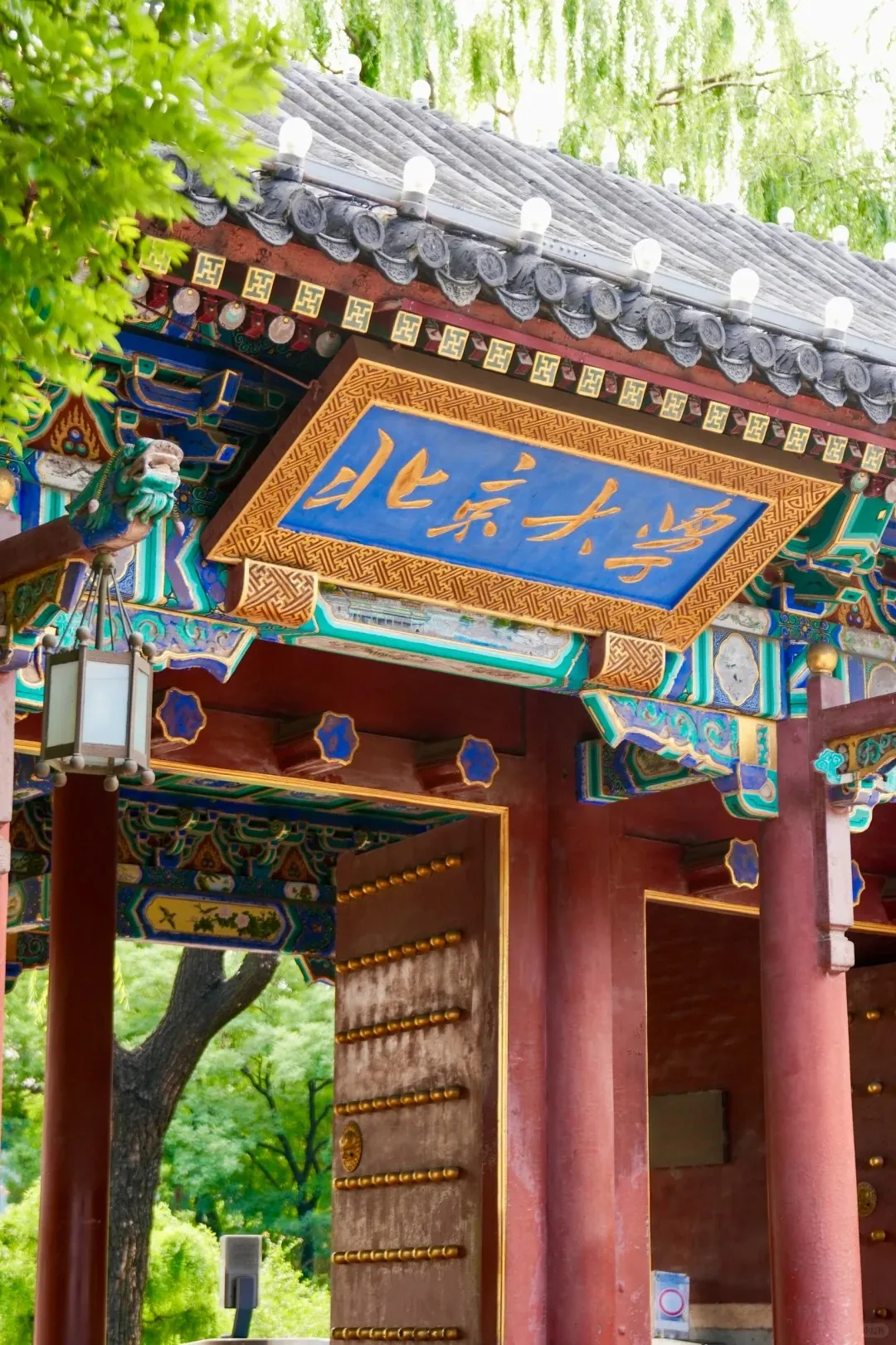 cffda2d2ae6c6d2a140a13a9dff1e0b4-sz_530965