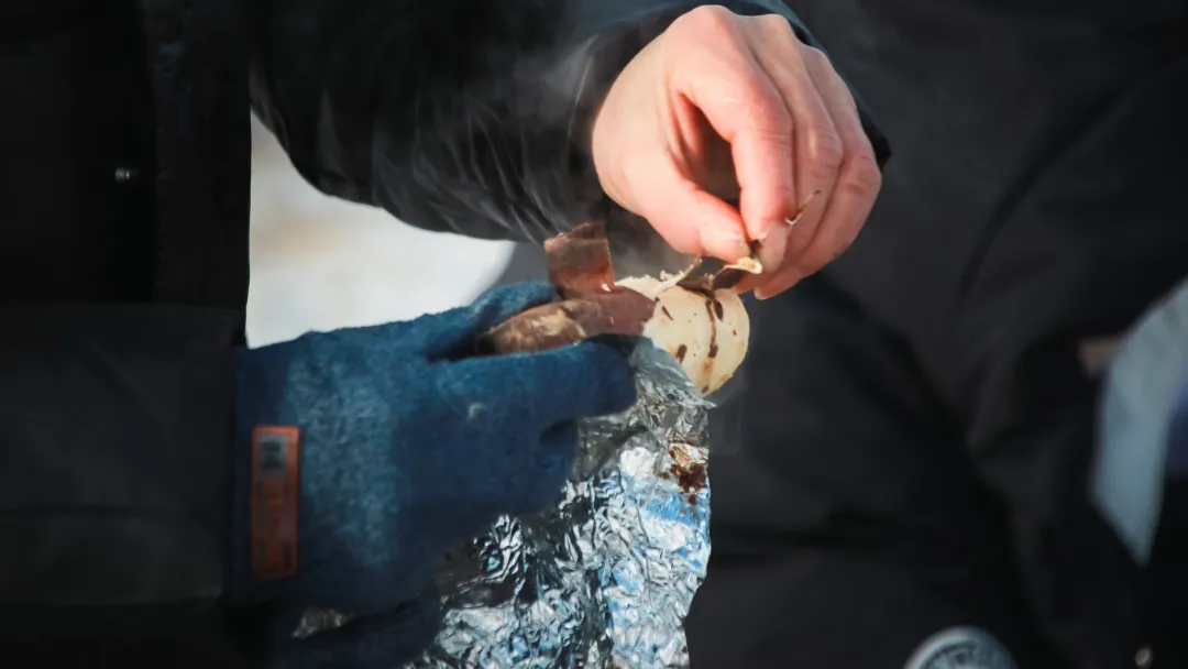 d00f5e7680a34900726a69736765dafd-sz_3655110 d00f5e7680a34900726a69736765dafd-sz_3655110