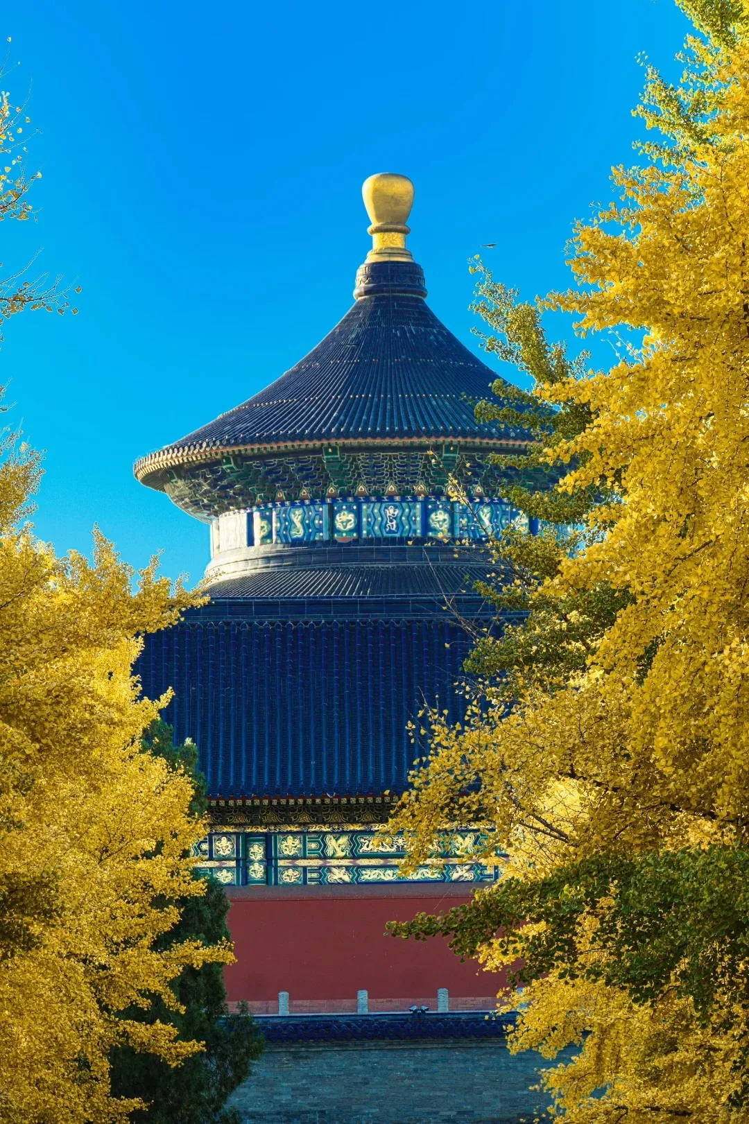 d07184821a9bd6d9a2fed17881bd6ef9-sz_718521 d07184821a9bd6d9a2fed17881bd6ef9-sz_718521