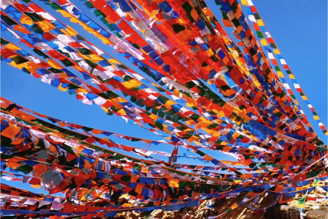 d0734b53c33d391304d84459d01874c6-sz_1933926