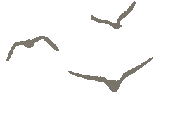 d0d482b6a745e4fd83232d4086ce338b-sz_208994