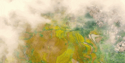 d0dd3c764b2eaf5a05b3cd81c73095e1-sz_1587869 d0dd3c764b2eaf5a05b3cd81c73095e1-sz_1587869