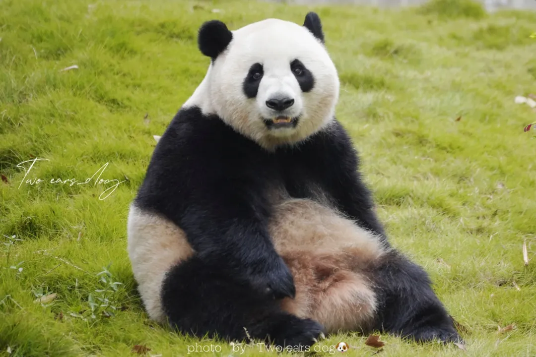 d11928f3c7d77a5f17eef038a492d159-sz_3418806