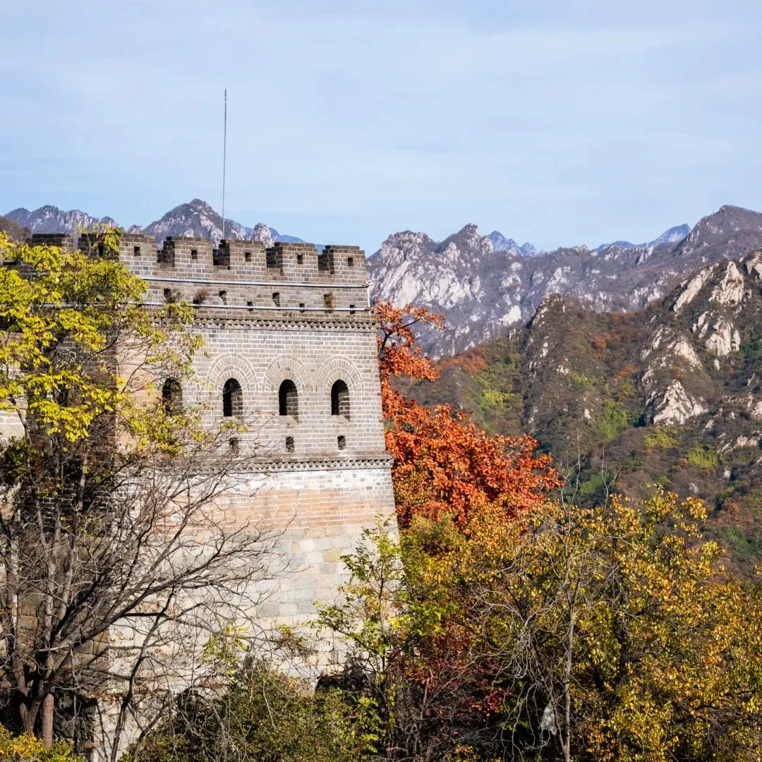 d168d7b36ff90d558249bf134ac5a63a-sz_697282