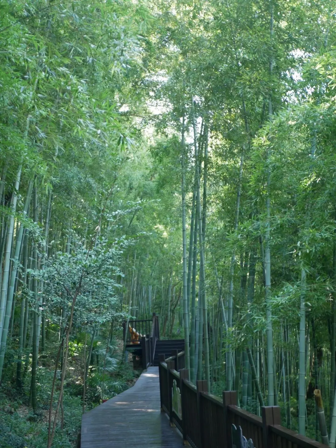 d1750834bc14604e3c750a71606f76d3-sz_514452