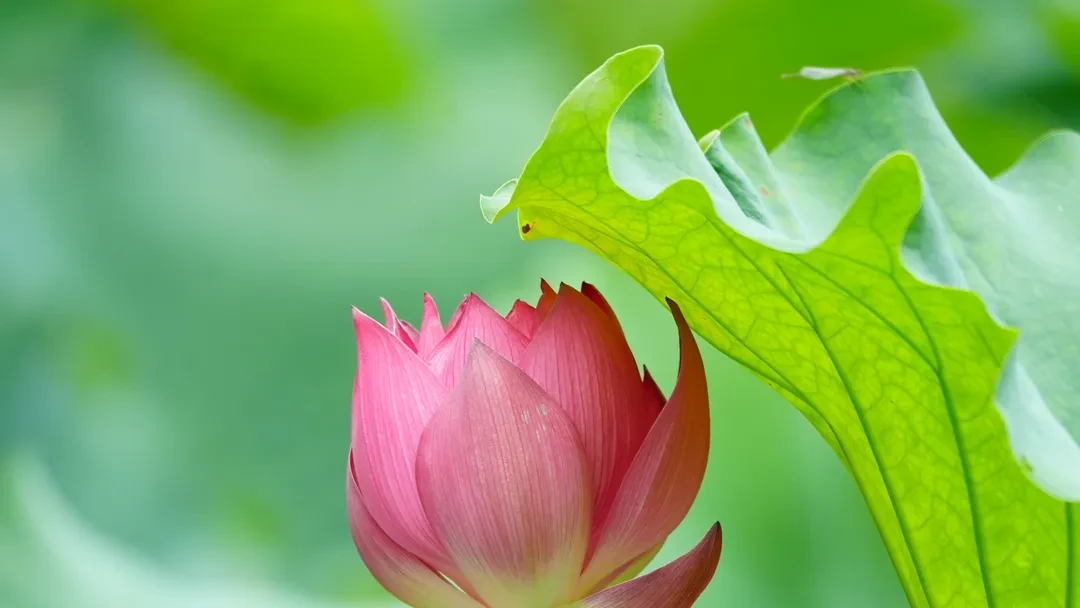 d180c783501bc2ea8bf8c96f271ca7b8_sz-760081 d180c783501bc2ea8bf8c96f271ca7b8_sz-760081