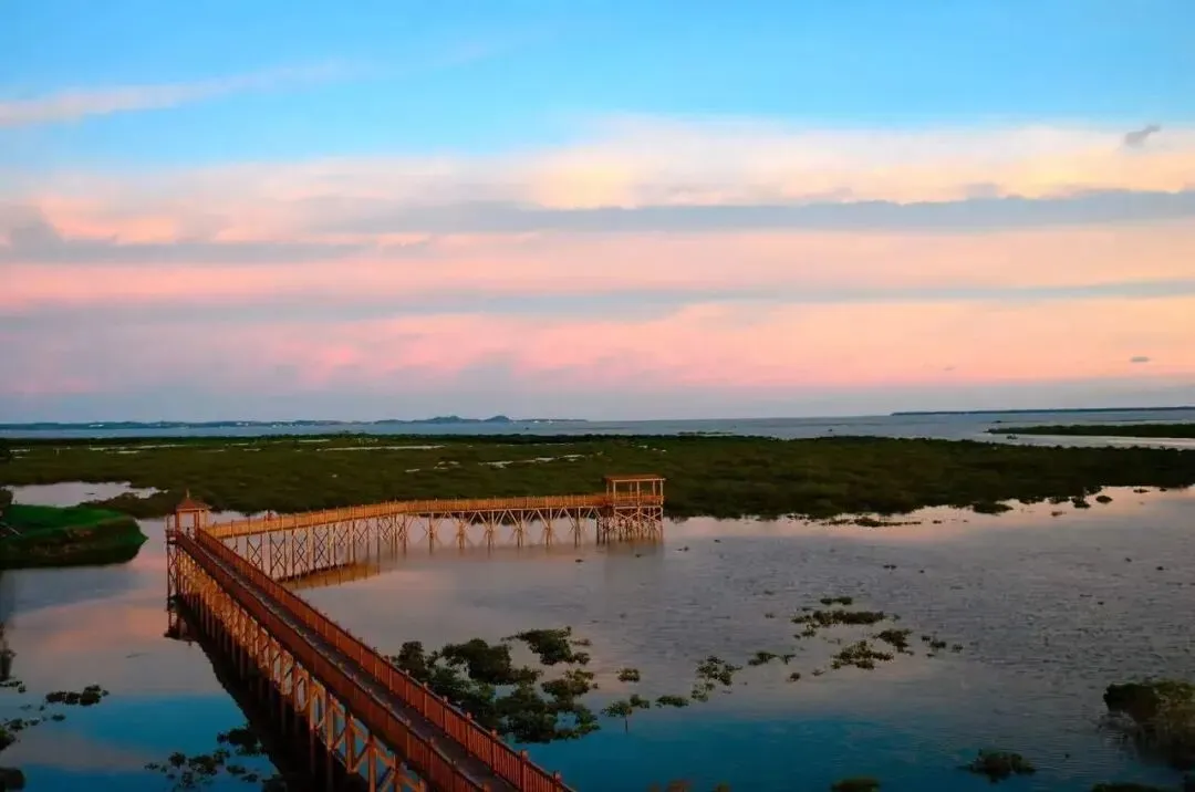 d193640216e8c0b216705563cbab20e1-sz_71891-1