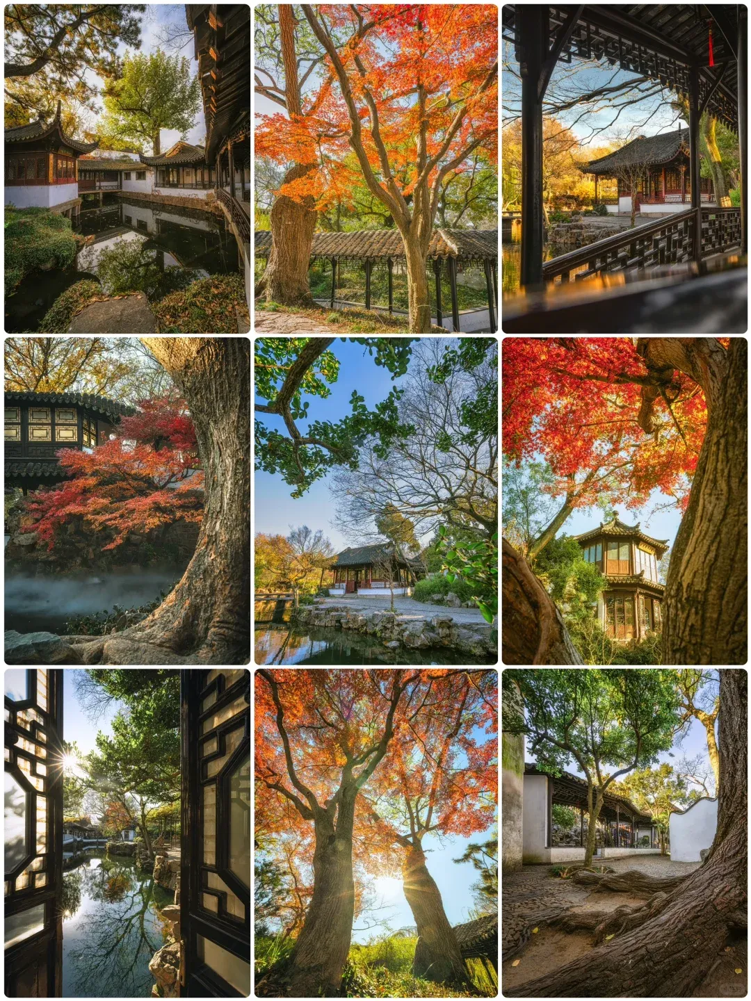 d1a3df3df1f4b803c8f42ef530c5113d-sz_4089580 d1a3df3df1f4b803c8f42ef530c5113d-sz_4089580