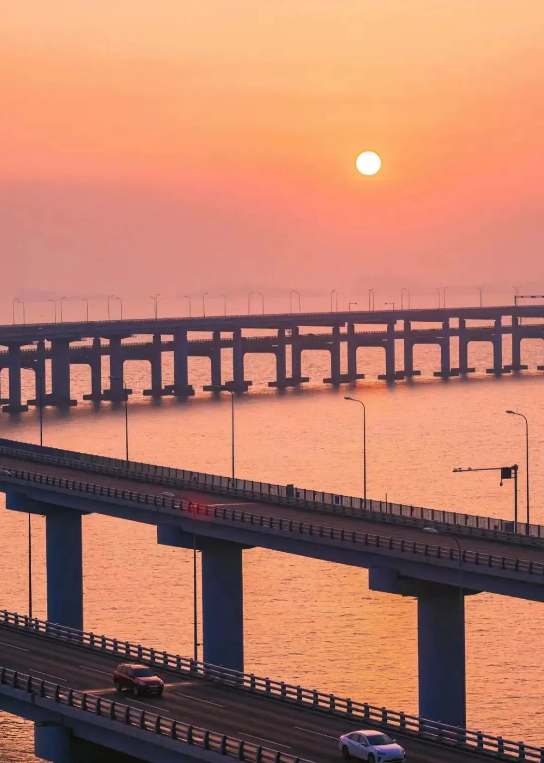 d1adcbaf324482f1d4784c0915915499-sz_160407