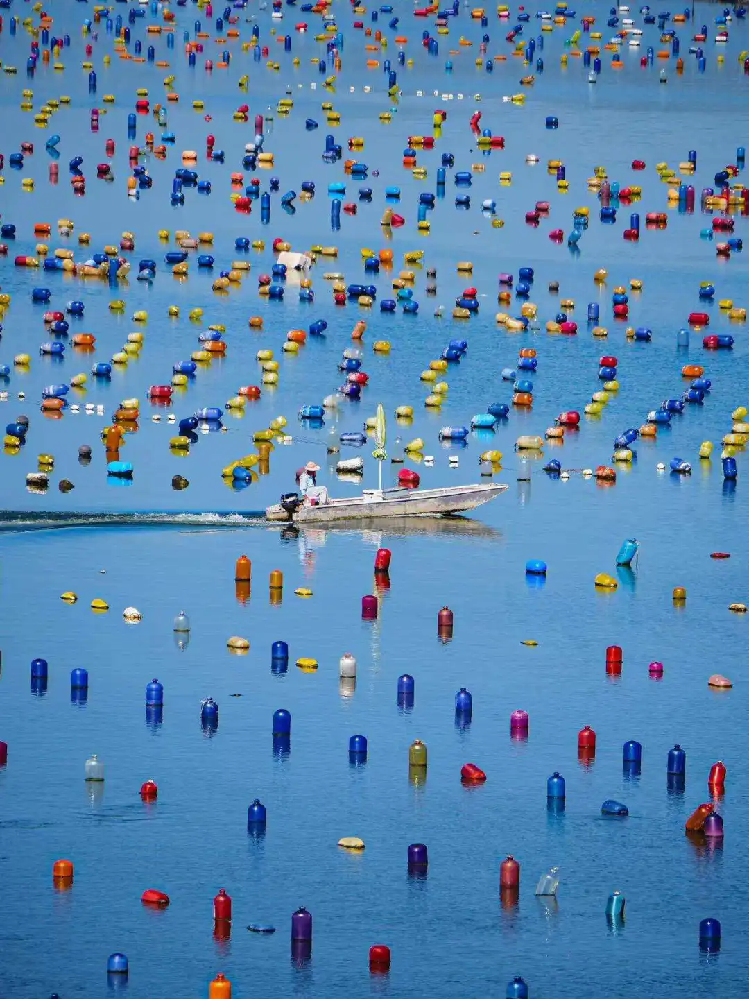 d1dbbcb593c790afd647d2c555248a2b-sz_236573-1