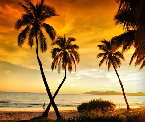 d21050ebf380ccafa019ec0a333c2c3f-sz_60979-2 d21050ebf380ccafa019ec0a333c2c3f-sz_60979-2