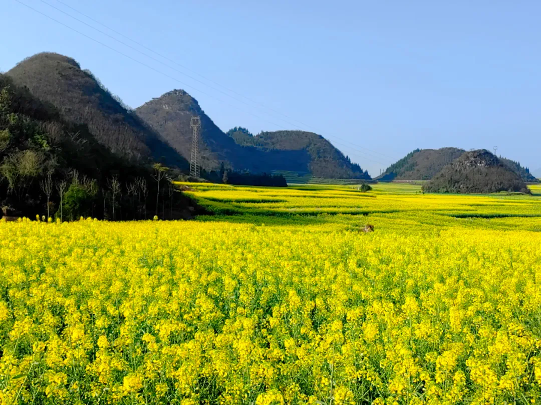 d216bbe34c60d1b62b39bfe22e261c9f-sz_2695997