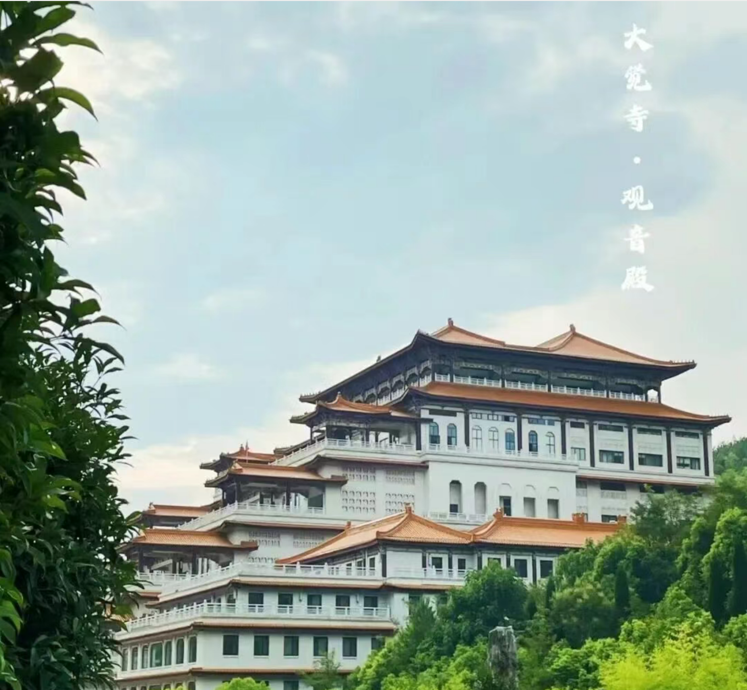 d216f578b774b3d6a7d058ca711424d6