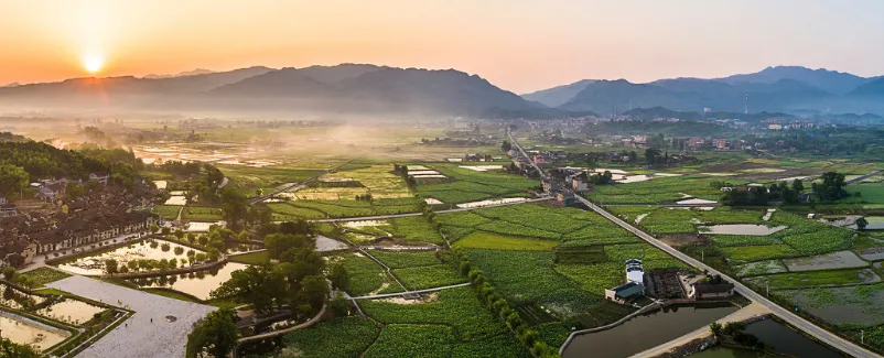 d25788c82f86ab44a76ff9361f35859a-sz_497202