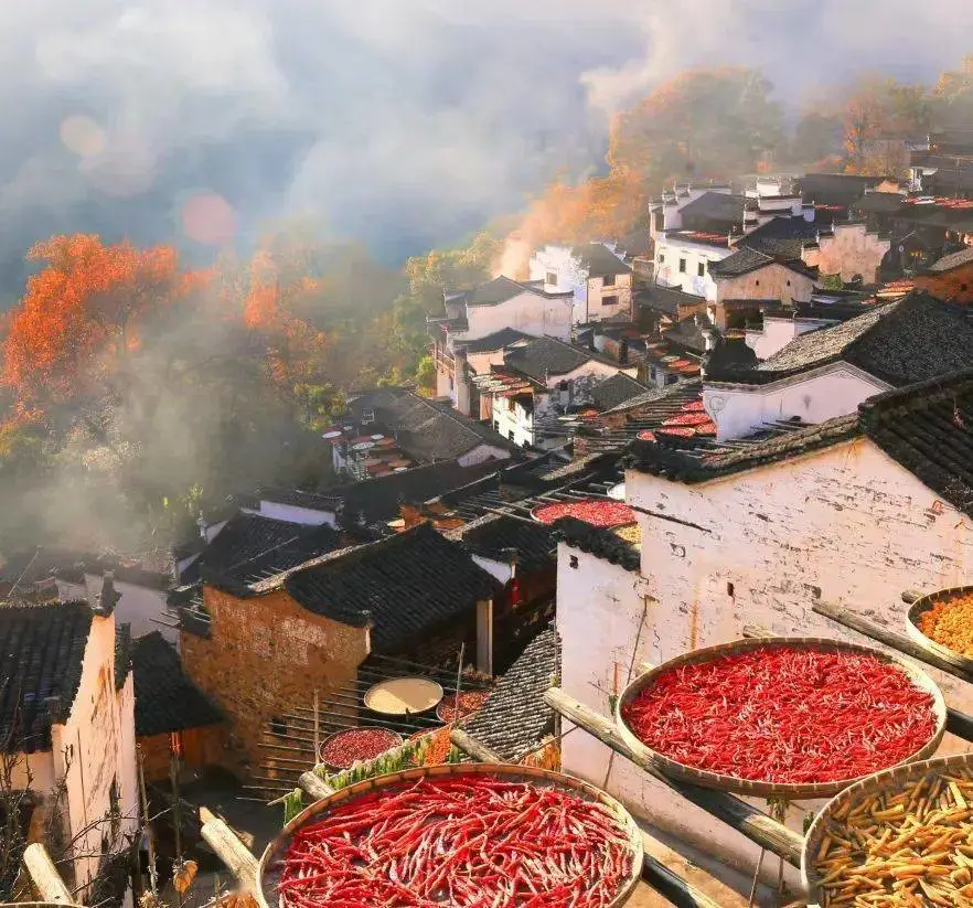 d26e5e7b1921d7354c7cf379ccf42069-sz_140246 d26e5e7b1921d7354c7cf379ccf42069-sz_140246