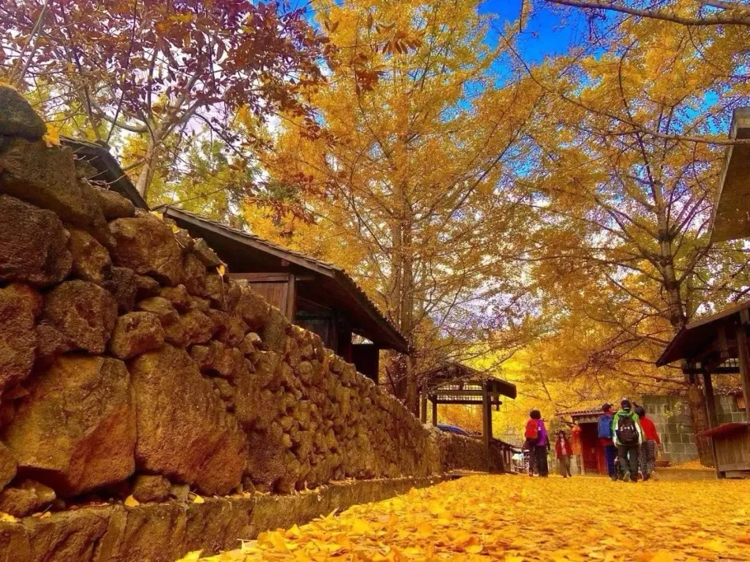 d26eedb9cf1de34a818f855eec2b5f9e-sz_1325269