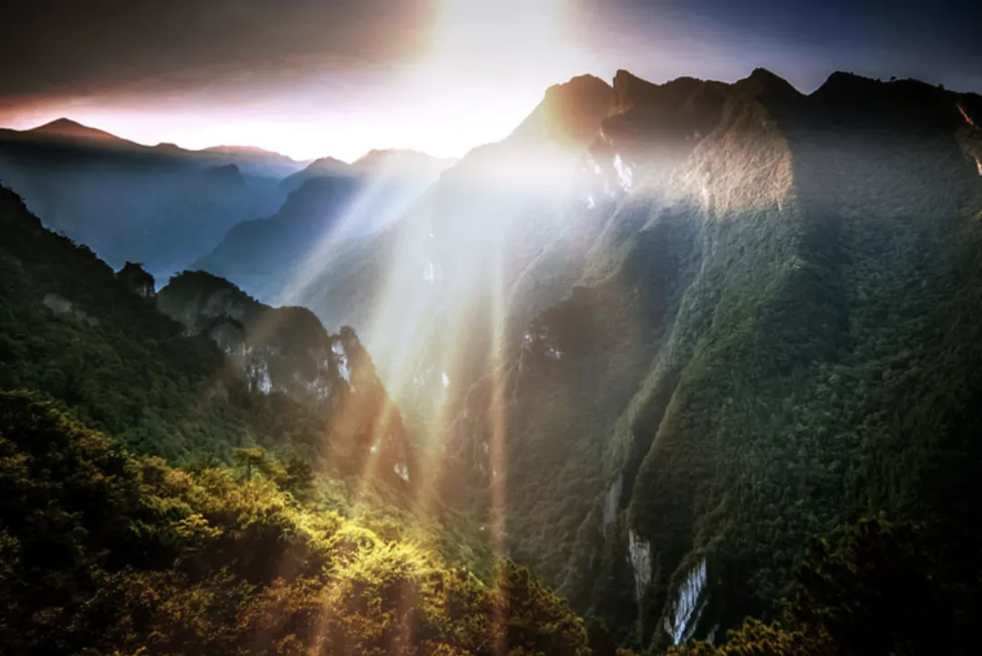 d276a157bdb96a83a26d98dbbd257648-sz_1949741