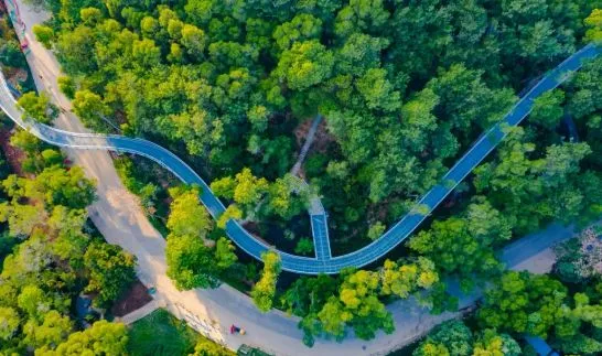 d2cac47e32bfb6b17e4389de8898b5b9-sz_56379-1 d2cac47e32bfb6b17e4389de8898b5b9-sz_56379-1