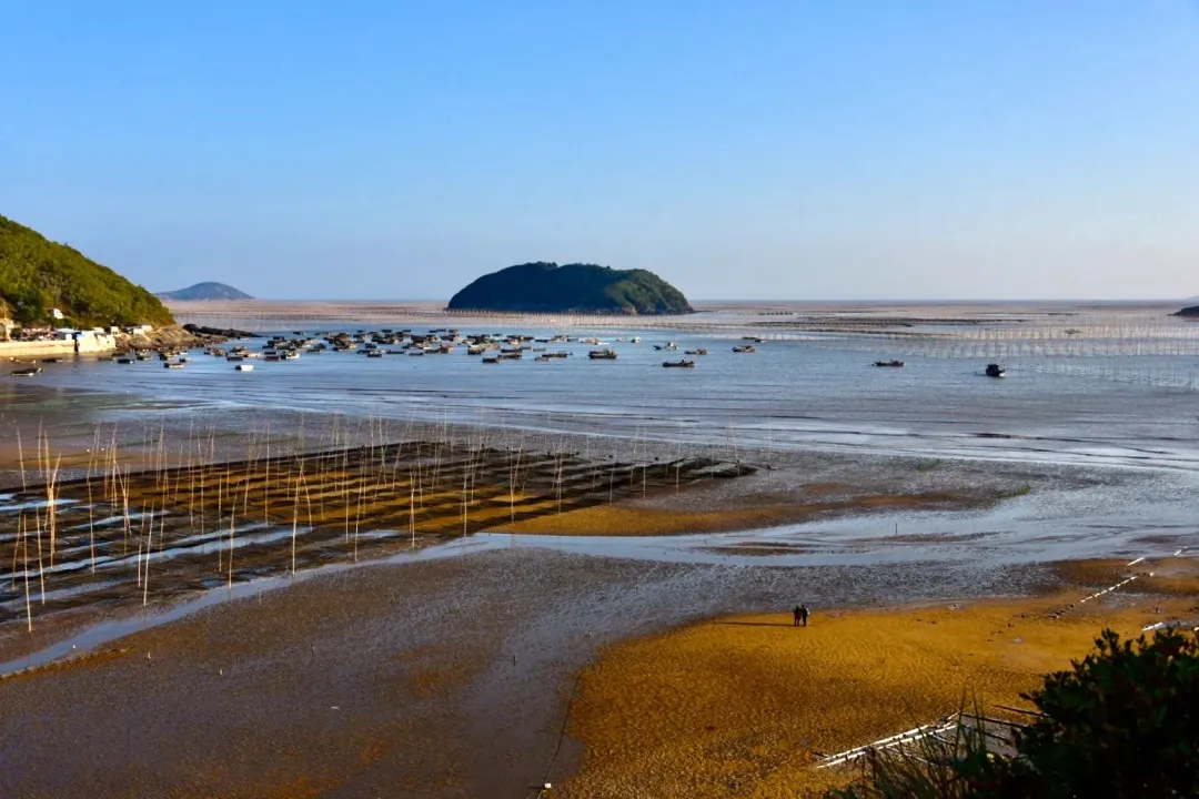 d2d27df659cd128f70a8643275ede9eb-sz_1009074